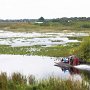 <p align=left>Quelques propriétaires d'aéroglisseurs offrent des tours sur le canal, à la recherche d'alligators.